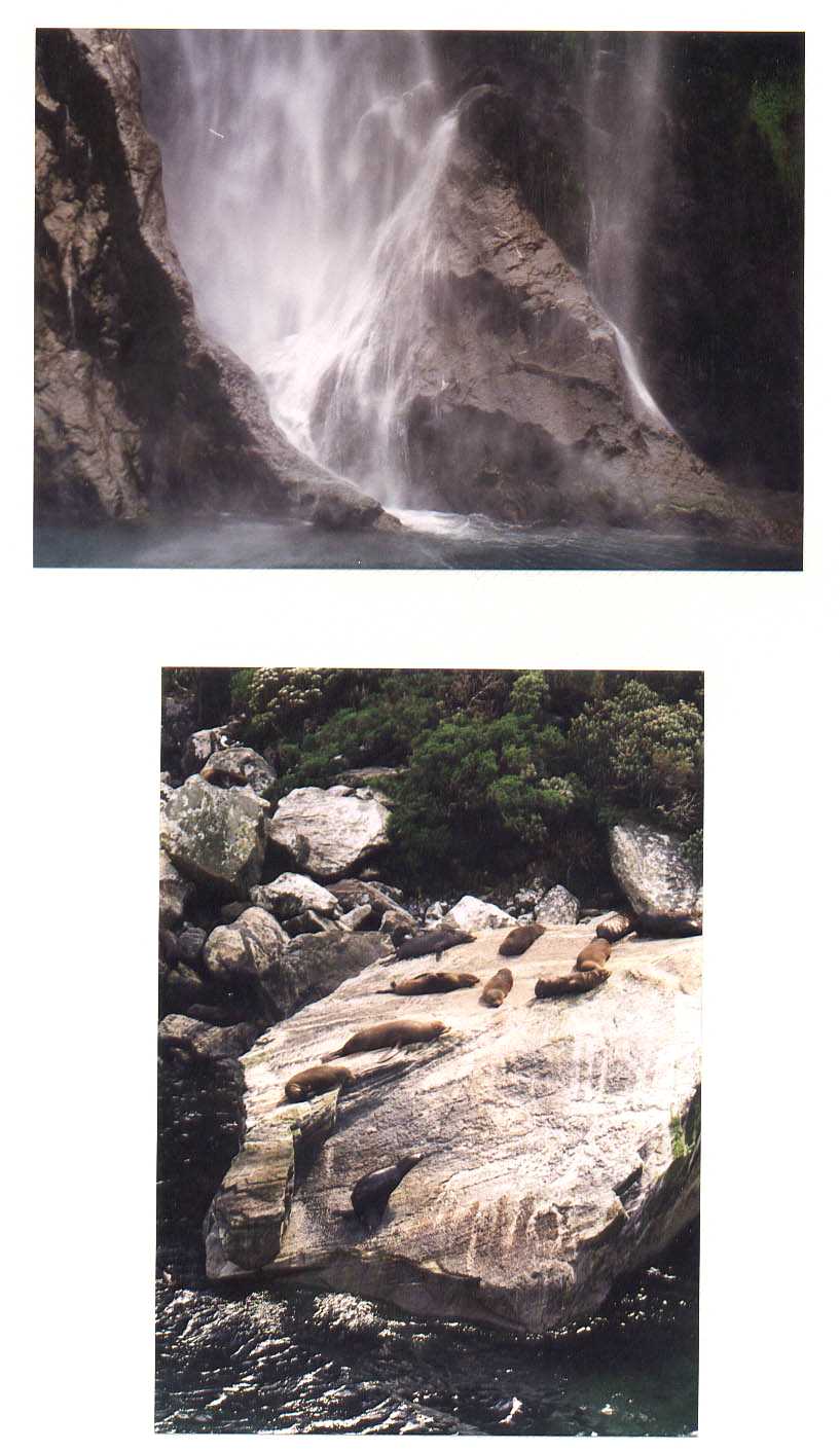 Milford Sound New Zealand