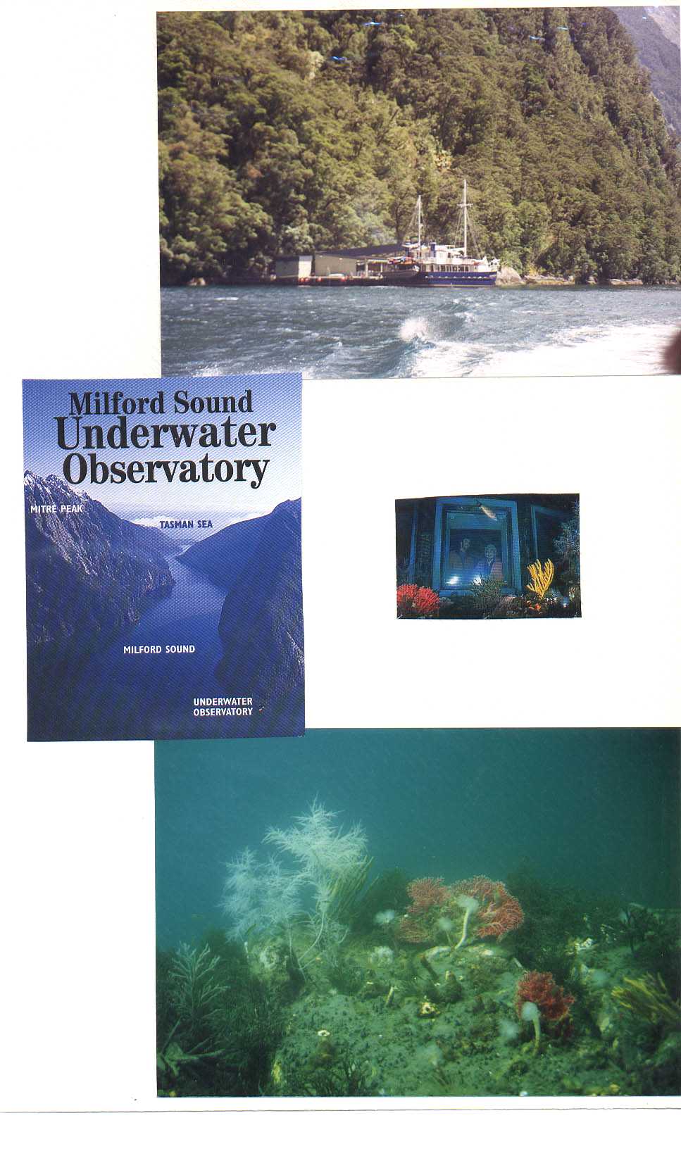 Underwater Observatory Milford Sound New Zealand