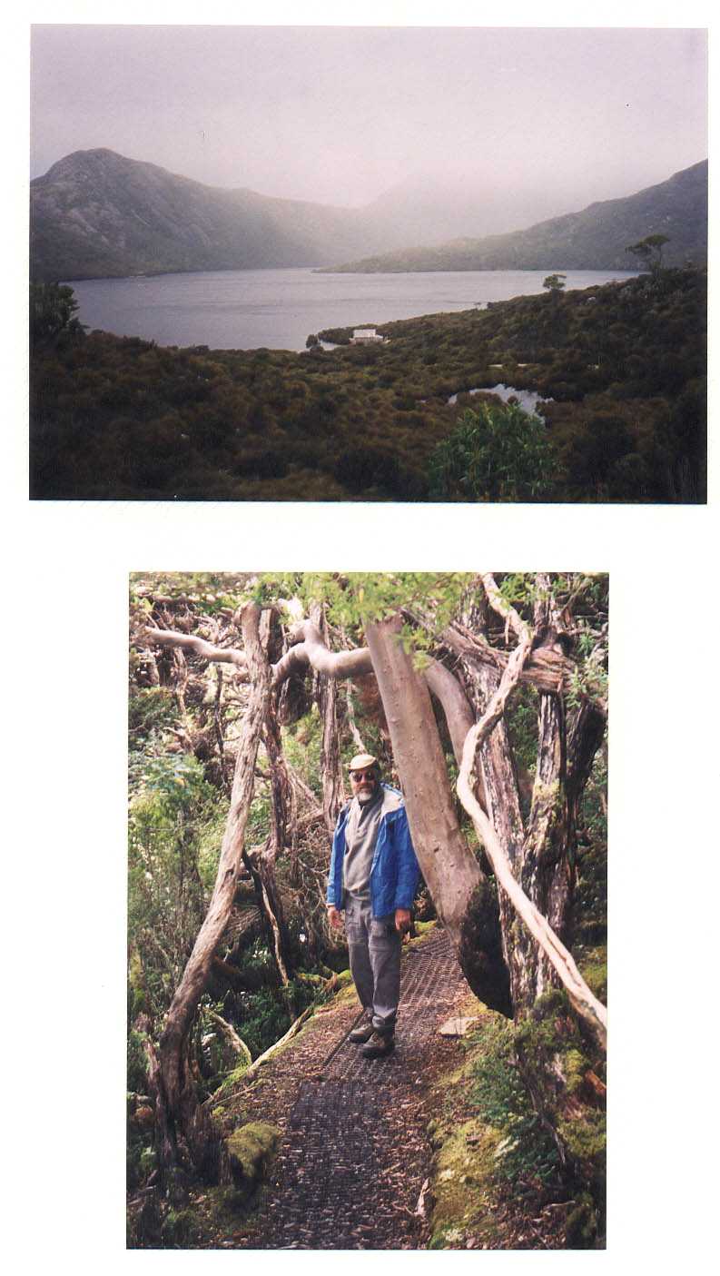 Cradle Mountain National Park Tasmania Australia