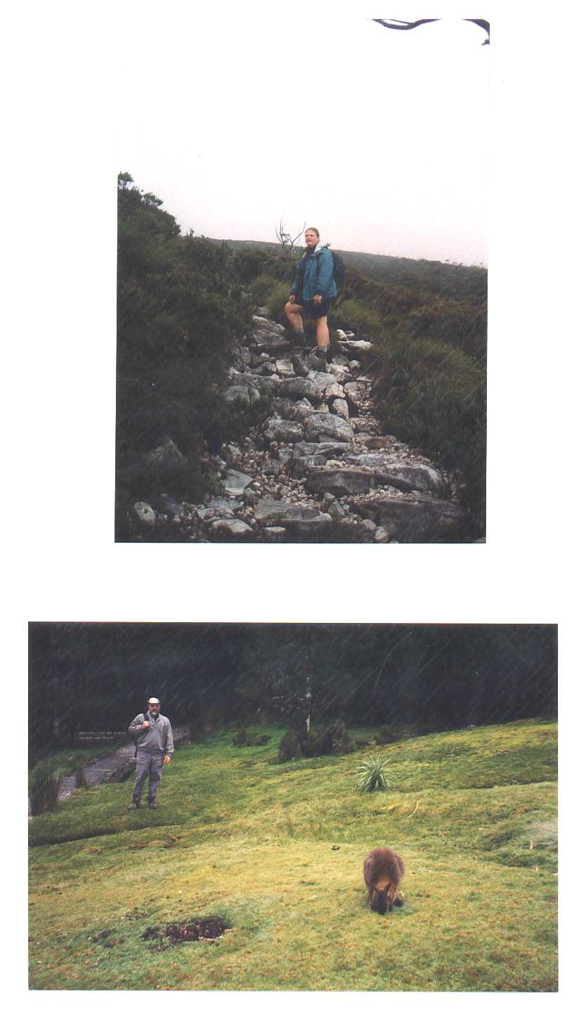 Cradle Mountain National Park Tasmania Australia