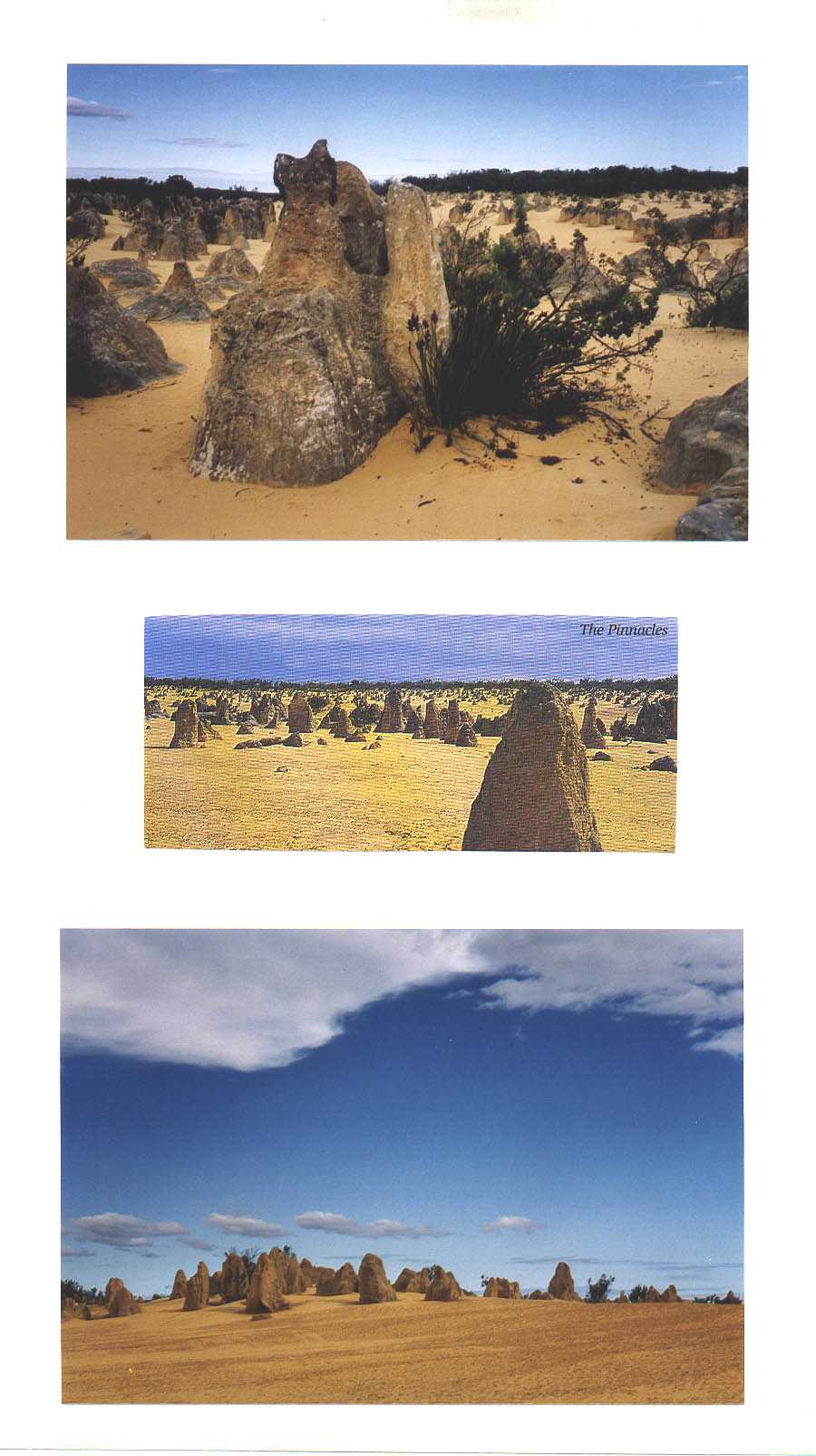 Nambung National Park Western Australia