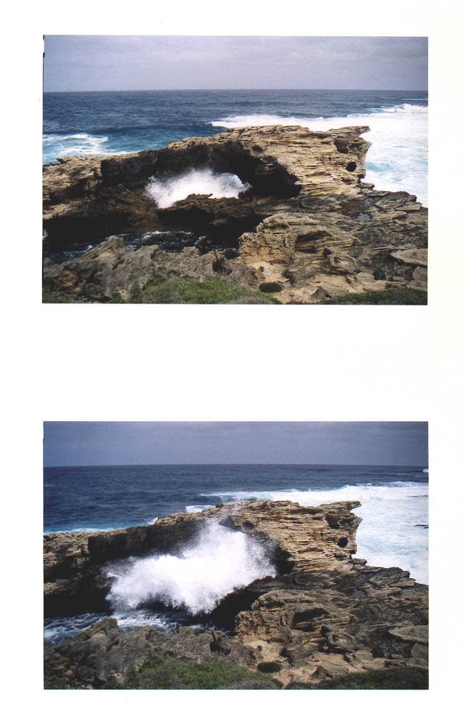 Rottnest Island Western Australia