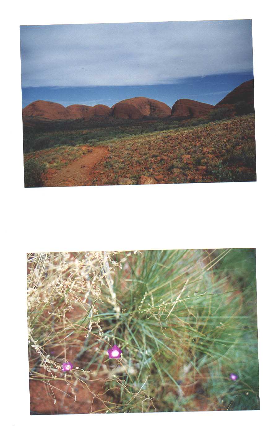 Ayers Rock Australia