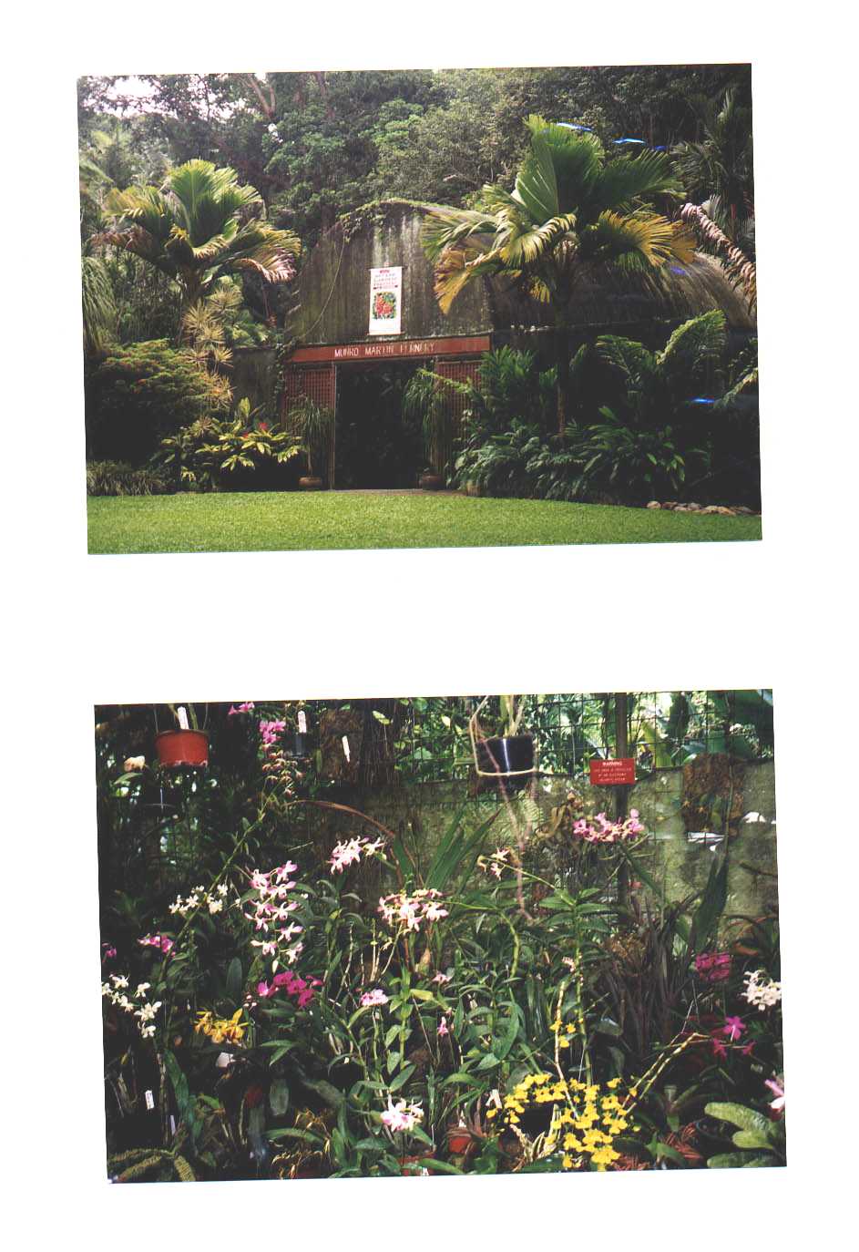 Flecker Botanic Gardens Cairns Australia