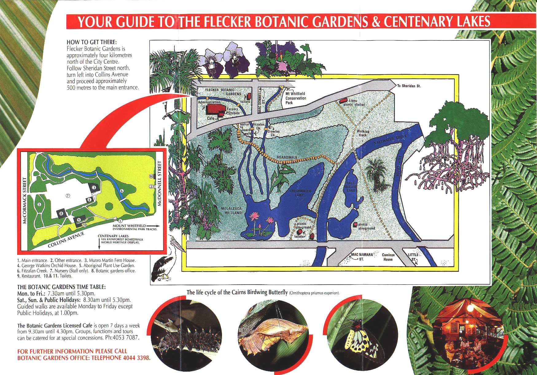 Flecker Botanic Gardens Cairns Australia