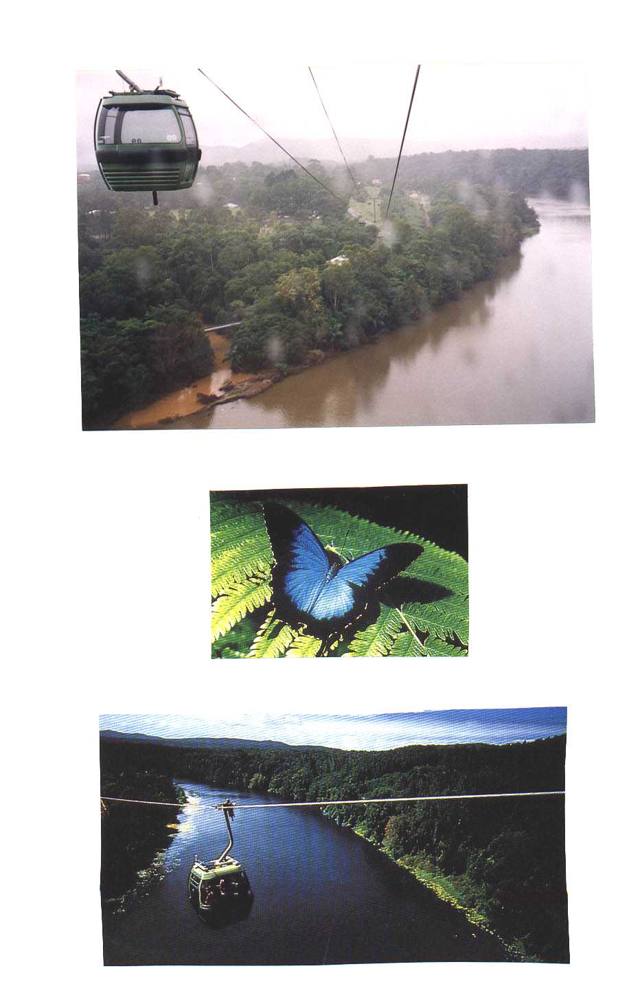 Kuranda Skyrail Australia