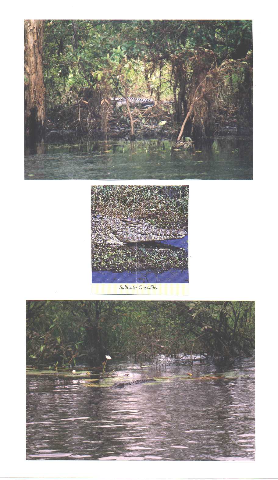 Kakadu National Park Northern Territory Australia