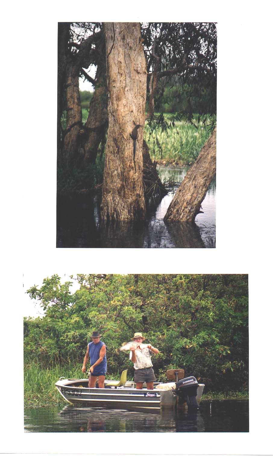 Kakadu National Park Northern Territory Australia