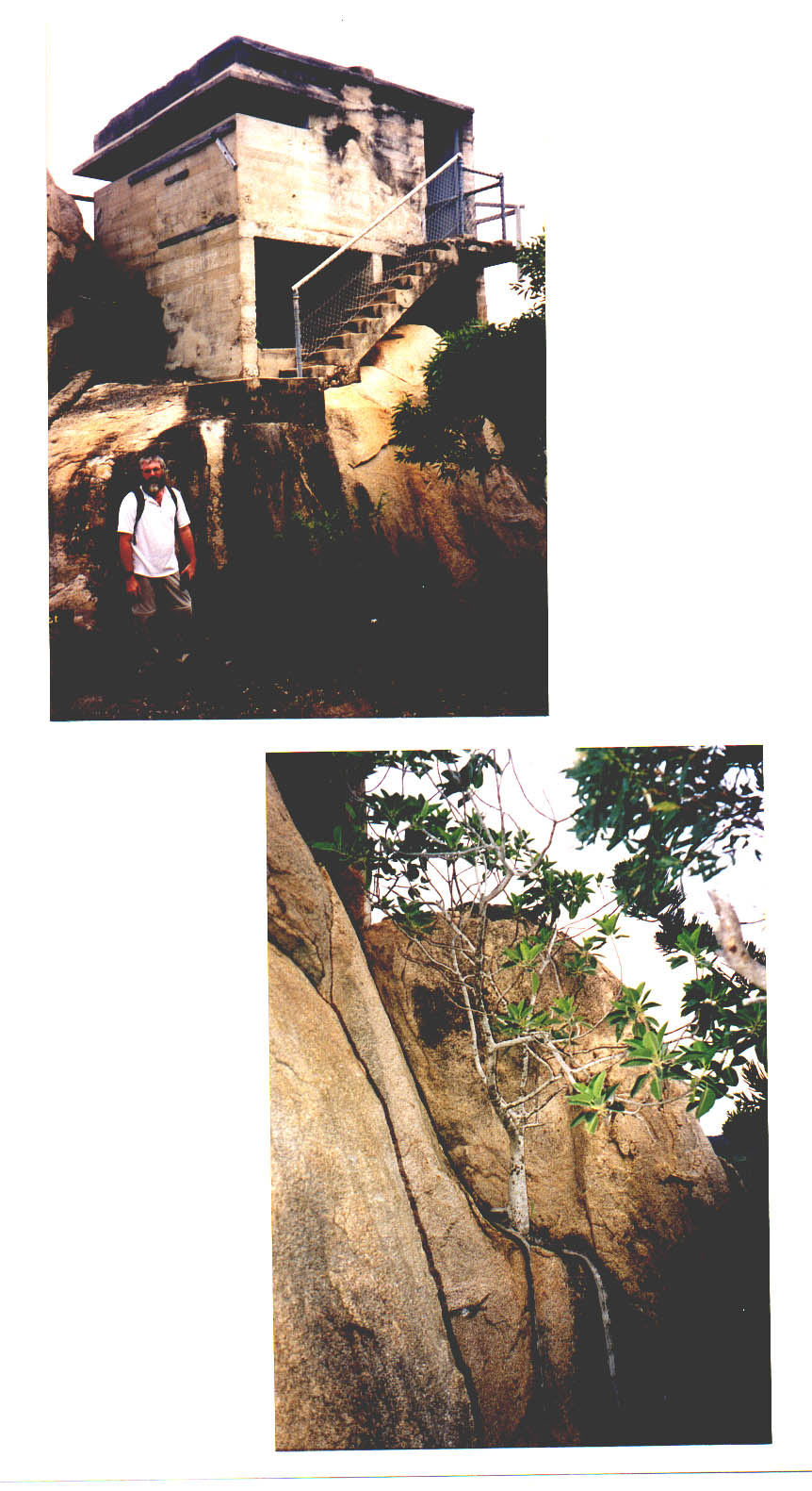 Magnetic Island Queensland Australia