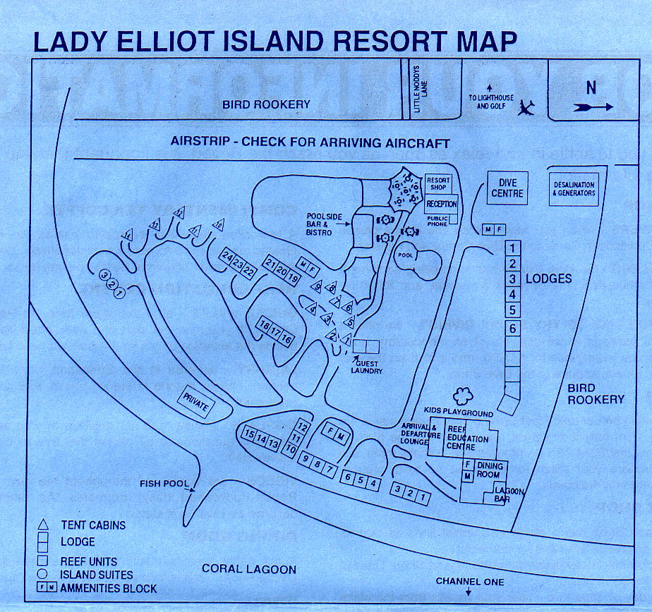 Lady Elliot Island Queensland Australia