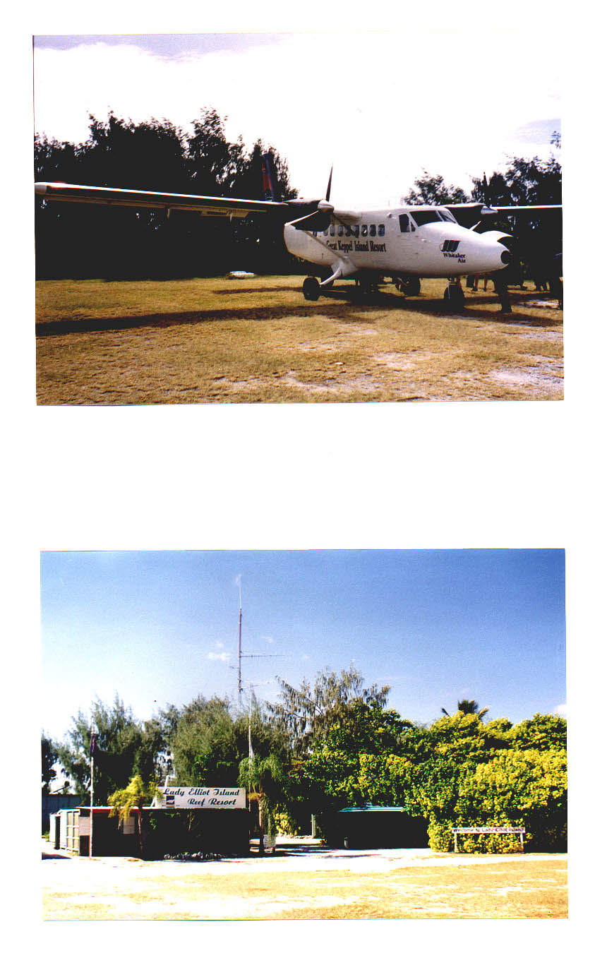 Lady Elliot Island Queensland Australia