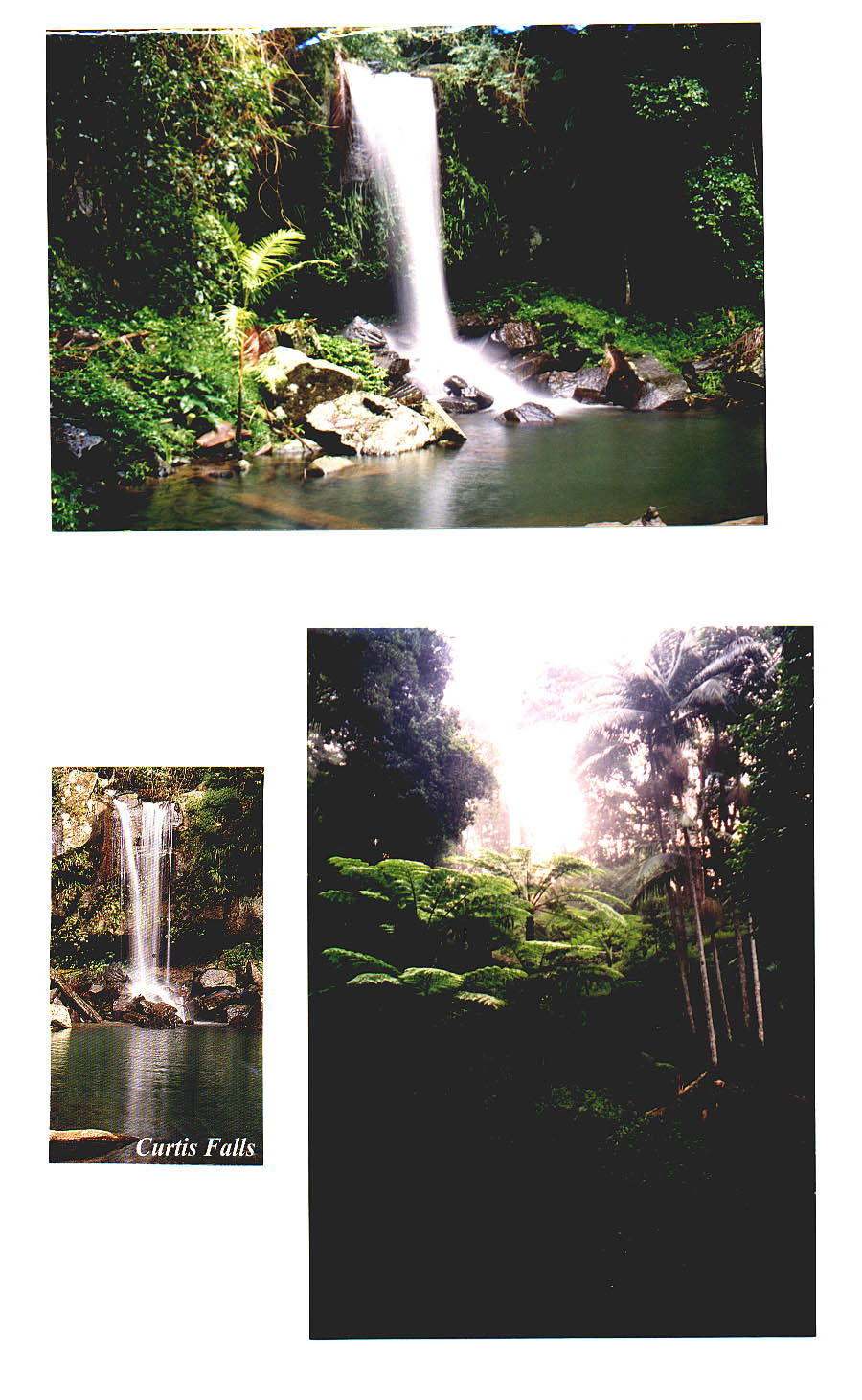 Tamborine Mountain Queensland Australia