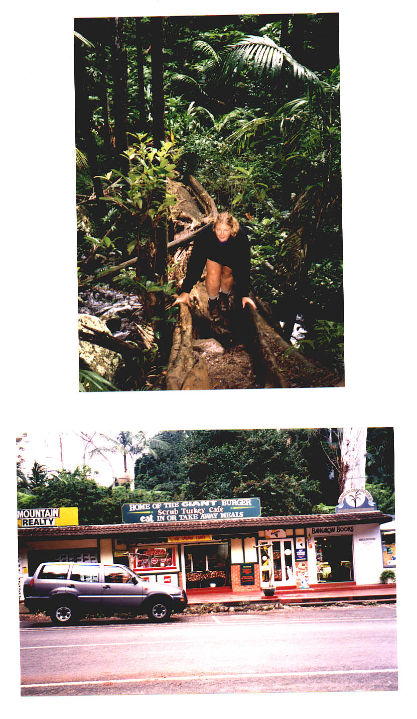 Tamborine Mountain Queensland Australia