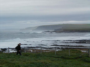 Brough of Birsay - Orkneys