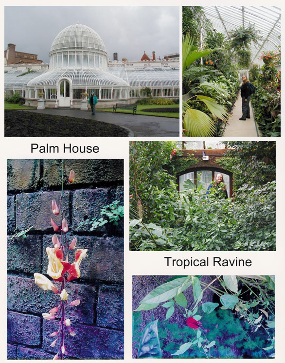 Belfast Palm House and Tropical Ravine