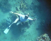 Tim Snorkling Ras Mohammed National Marine Park