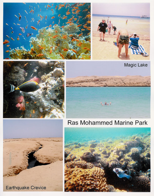Ras Mohammed Marine Park