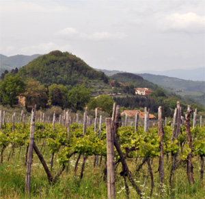 Villa Il Castellaccio, Lucolena Italy