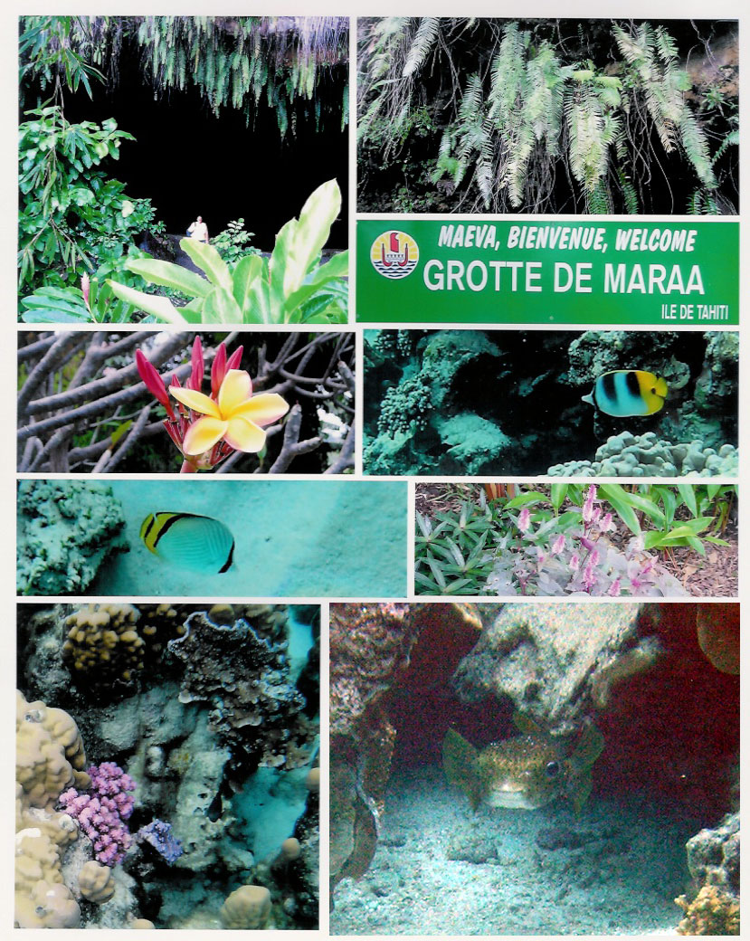Fern Grotto and Snorkling Othaha Beach