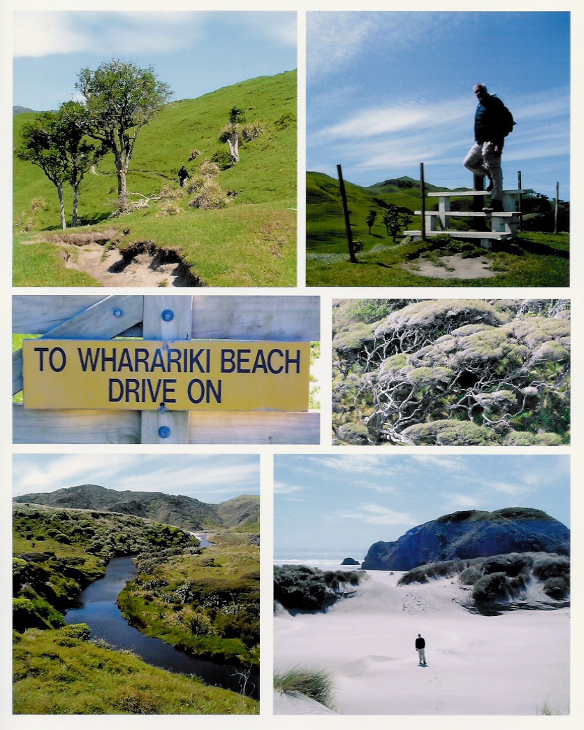 Trail to Wharariki Beach