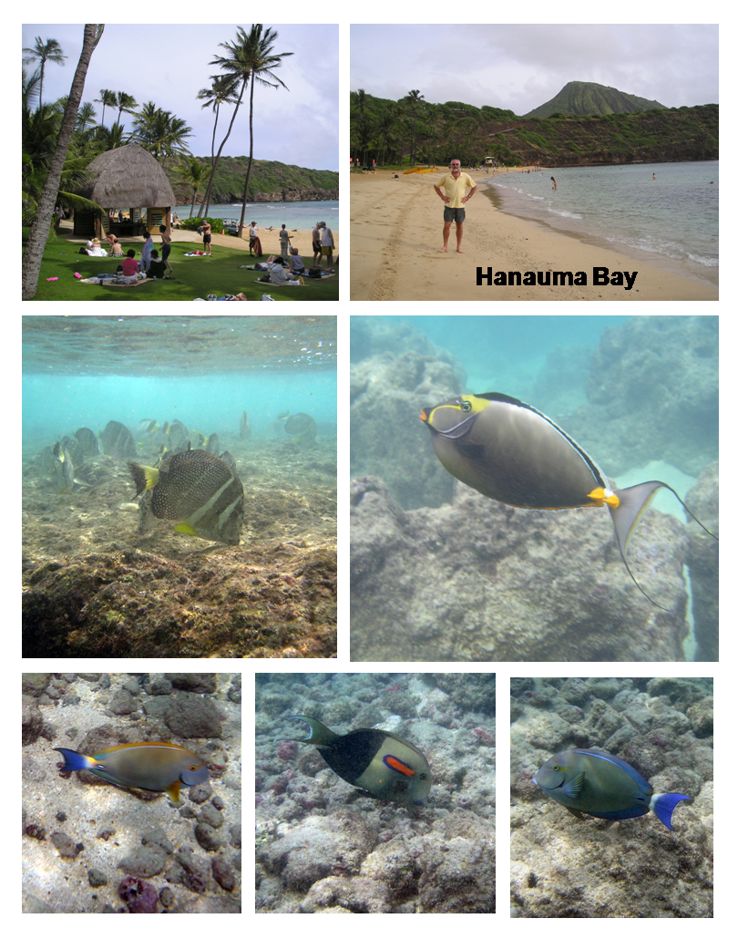 Hanauma Bay, Oahu Island Hawaii