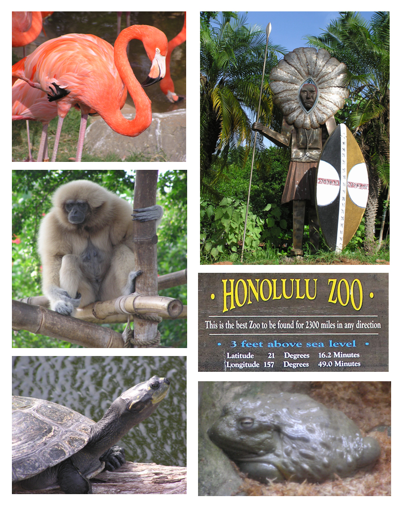 Honolulu Zoo, Oahu Island Hawaii