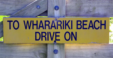 Kiwi signage