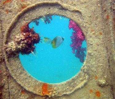 Underwater wreck off Pangaimotu beach