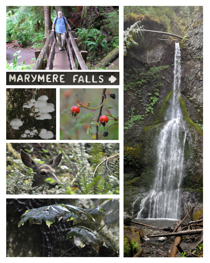 Marymere Falls, Washington