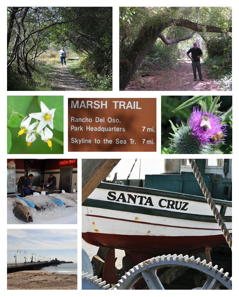 Marsh Trail & Santa Cruz