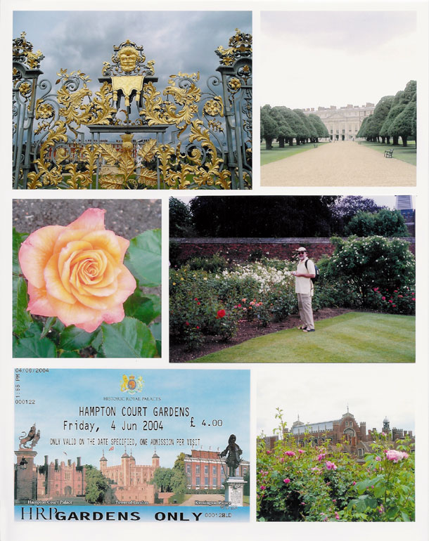 Hampton Court Grounds and Rose Gardens