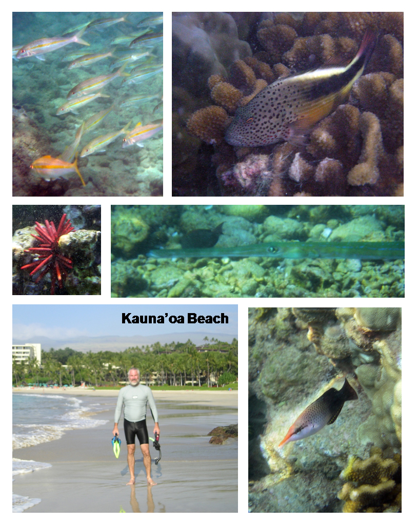 Kauna'oa Beach, Kailua-Kona, Hawaii