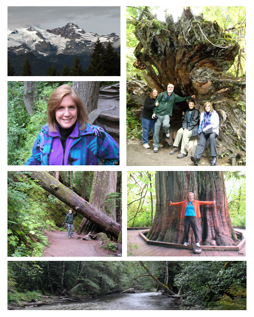  Mt. Rainier National Park, Washington