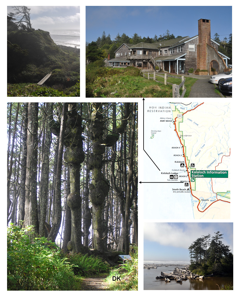 Kalaloch, Olympic NP