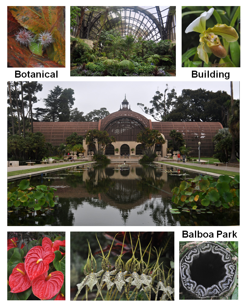 Botanical Building Balboa Park, San Diego